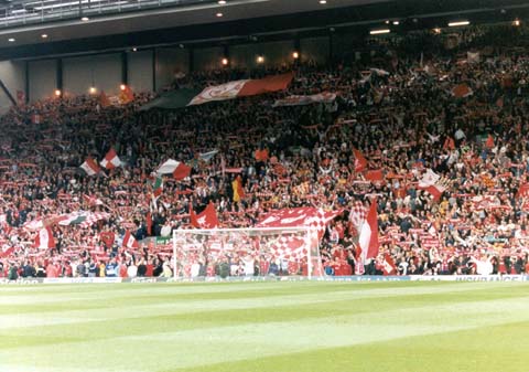 kop2.jpg